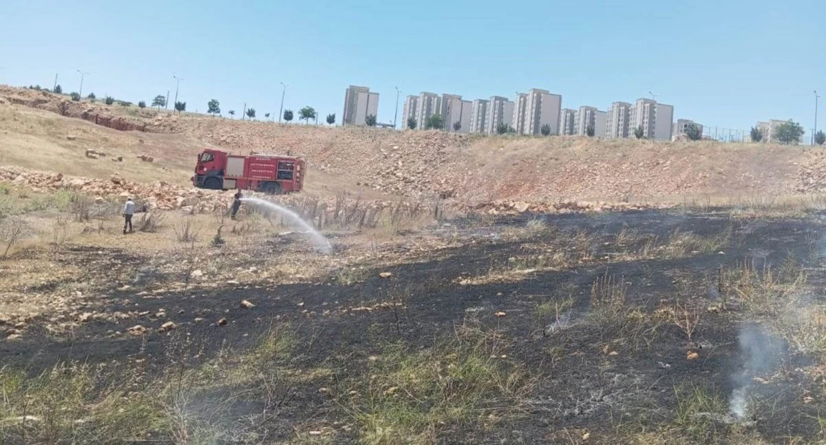 Artuklu’da Alev Alan Otlar Çevredekileri Korkuttu