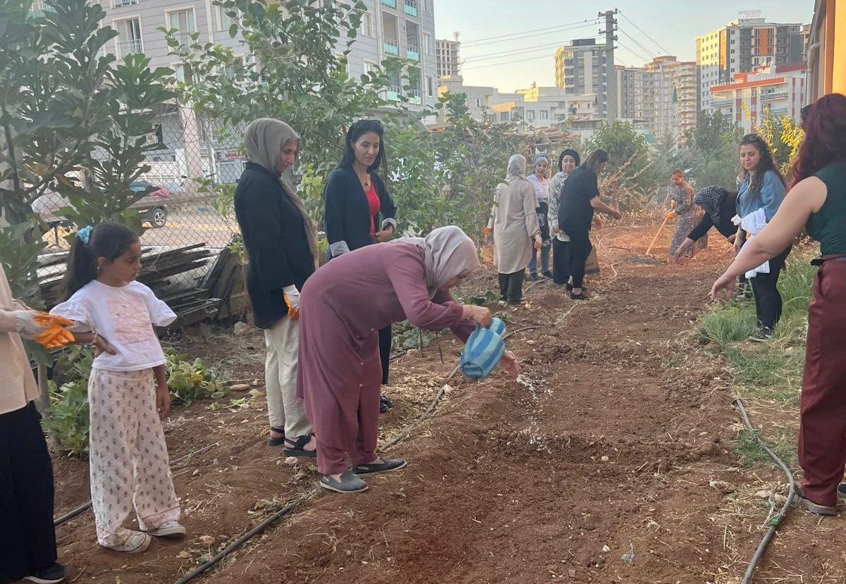 Artuklu’da Kadın Emeğiyle Kış Sebzeleri Toprakla Buluştu