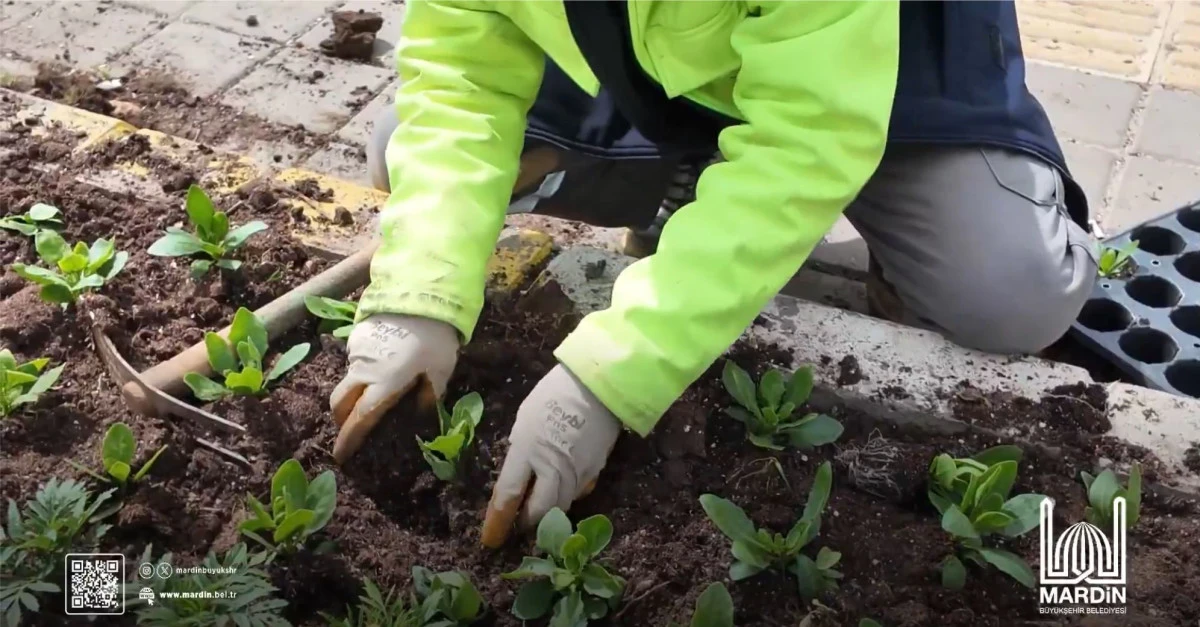 Artuklu&rsquo;ya Mevsimlik &Ccedil;i&ccedil;ekler Renk Verecek