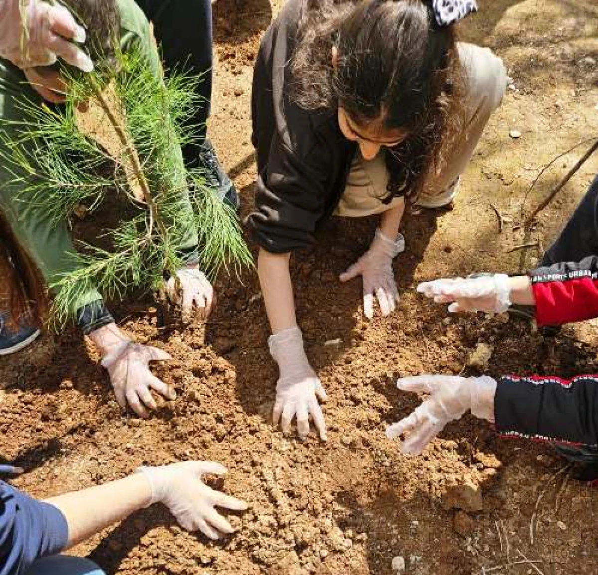 Beş &Uuml;lkeli Projede Mardin R&uuml;zg&acirc;rı