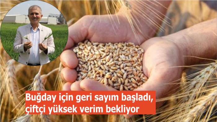 Buğday için geri sayım başladı