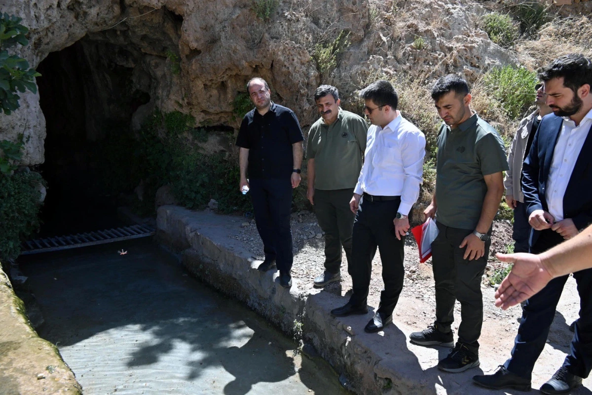 Derik Kaymakamı Bayraklı, zeytinliklerde yürütülen sulama çalışmalarını inceledi