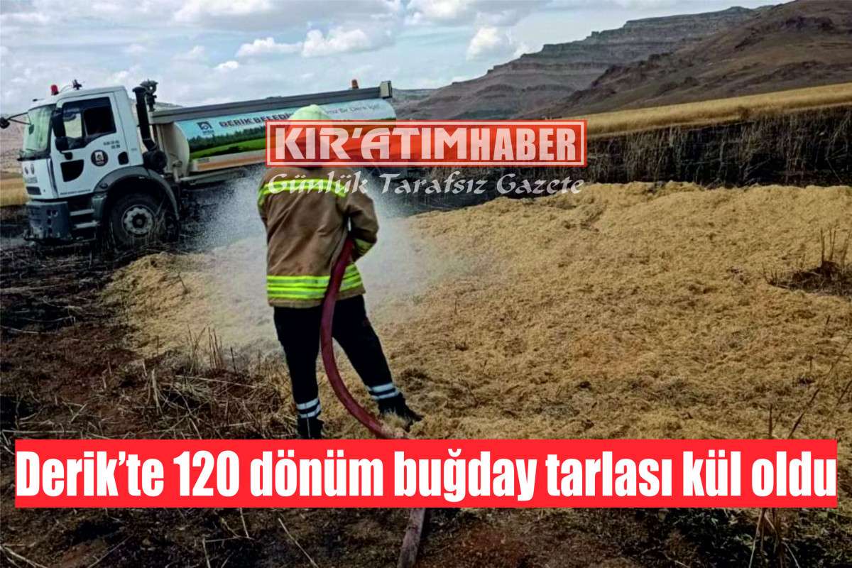 Derik’te 120 dönüm buğday tarlası kül oldu