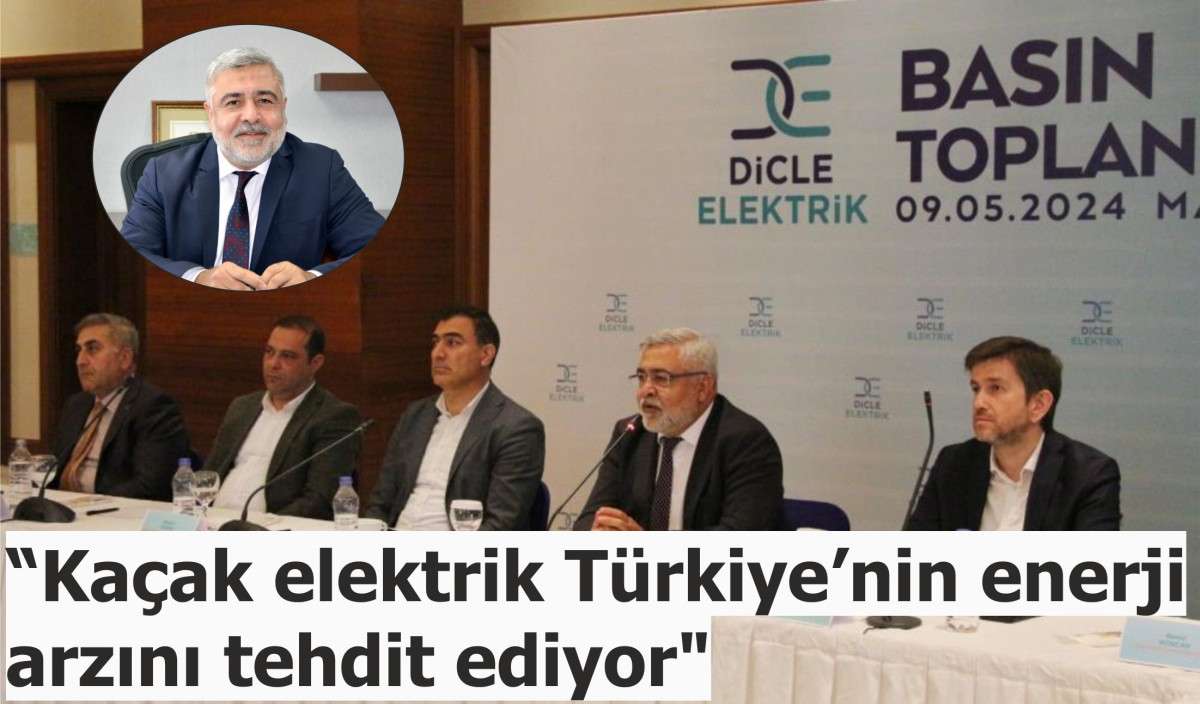 Dicle Elektirk'ten Açıklama