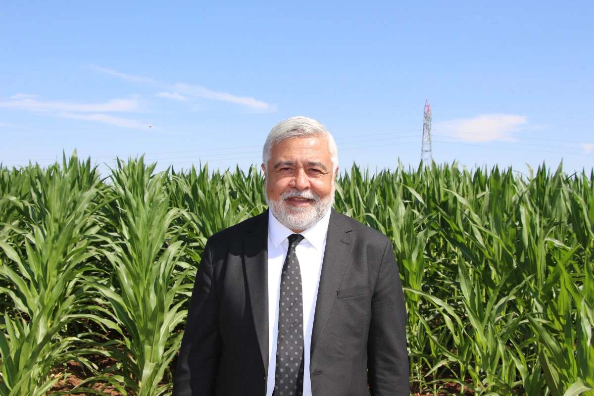 Dicle Elektrik Genel Müdürü Arvas: 
