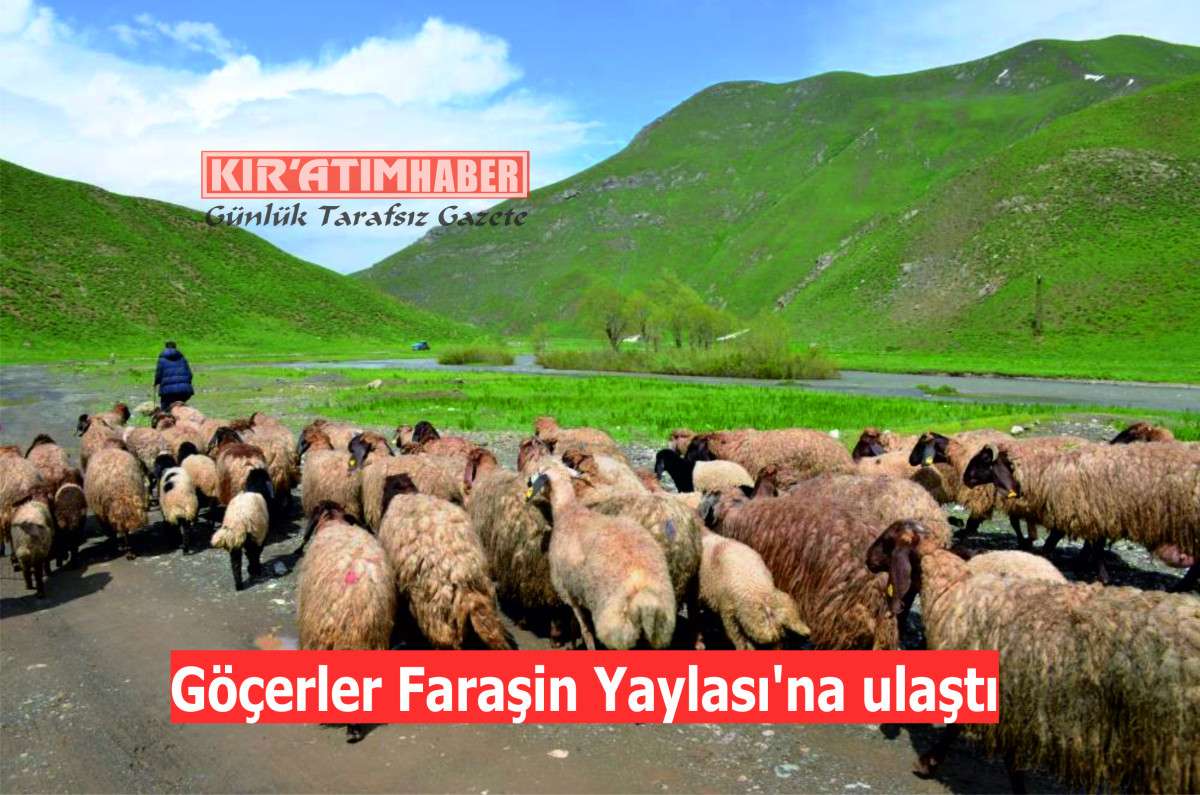 Göçerler Faraşin Yaylası'na ulaştı