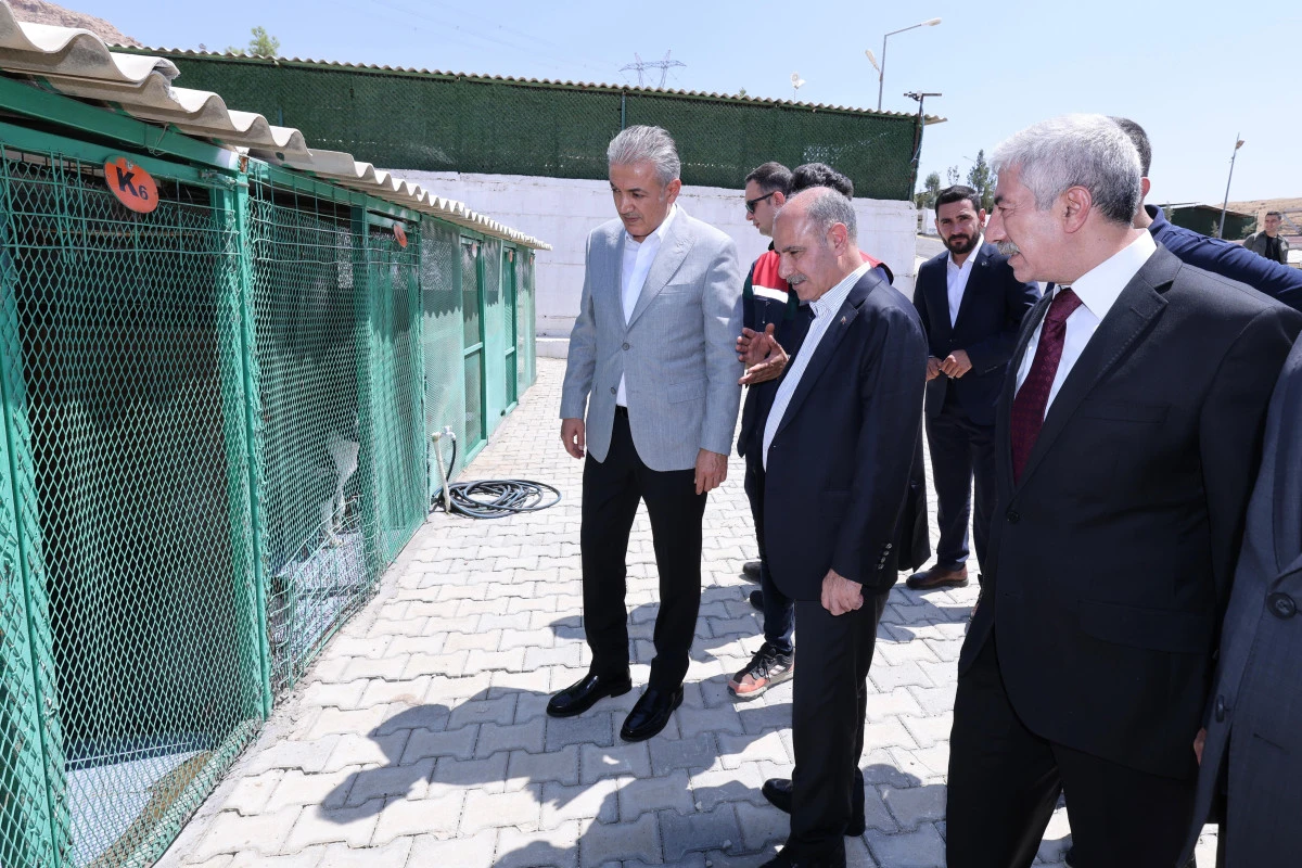 İçişleri Bakan Yardımcısı Mehmet Aktaş Mardin’de Sahipsiz Hayvanlar İçin Yapılan Çalışmaları İnceledi