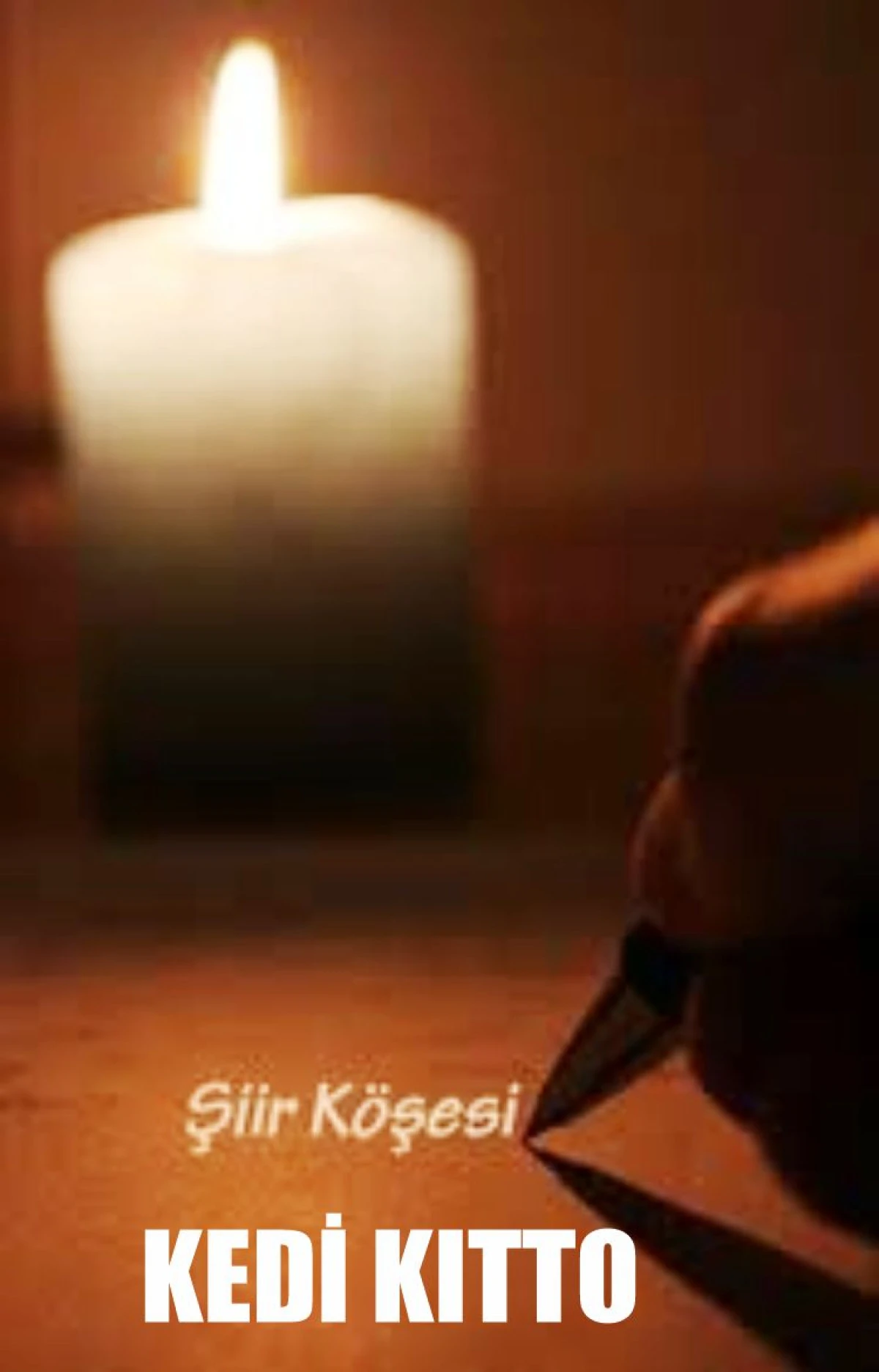 KEDİ KITTO