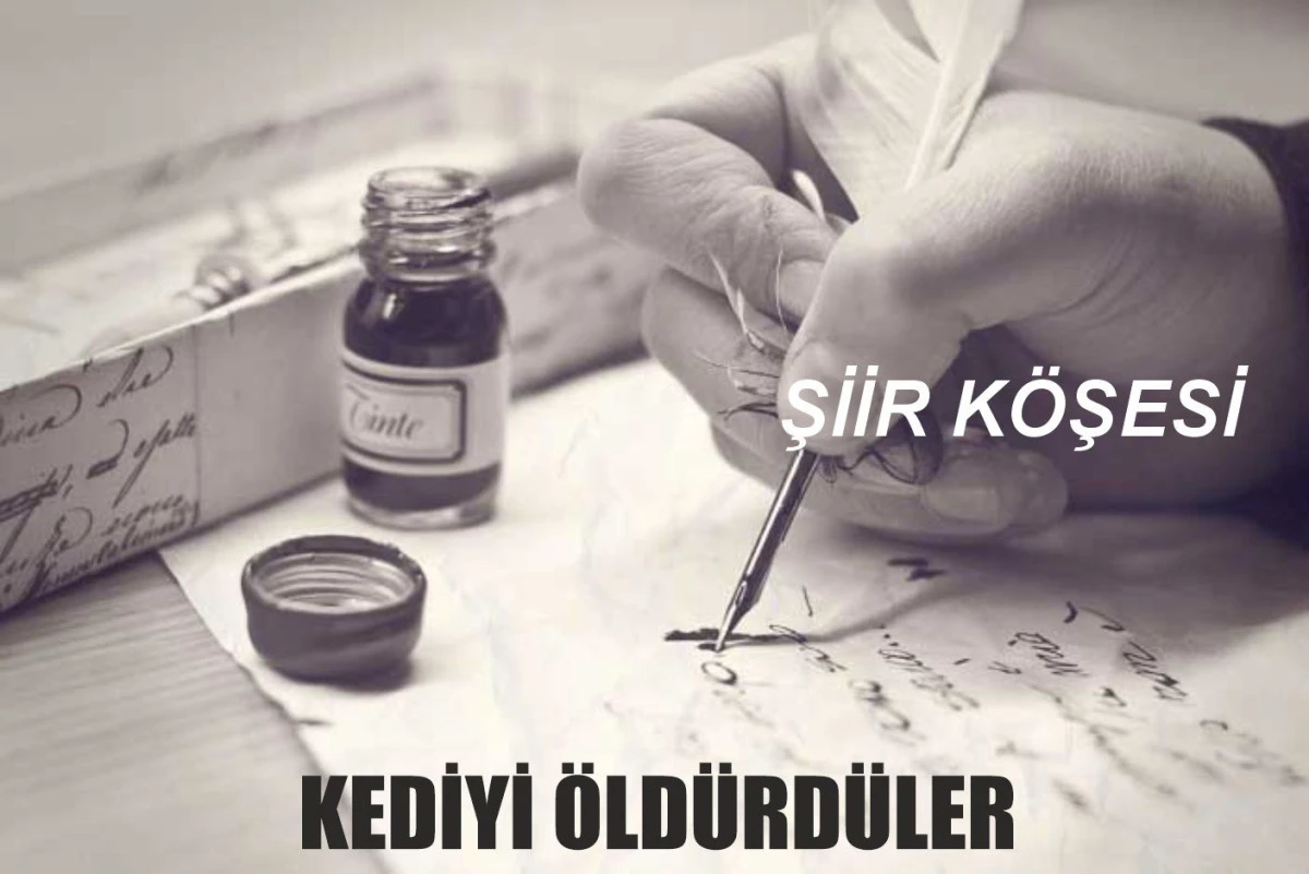 KEDİYİ ÖLDÜRDÜLER
