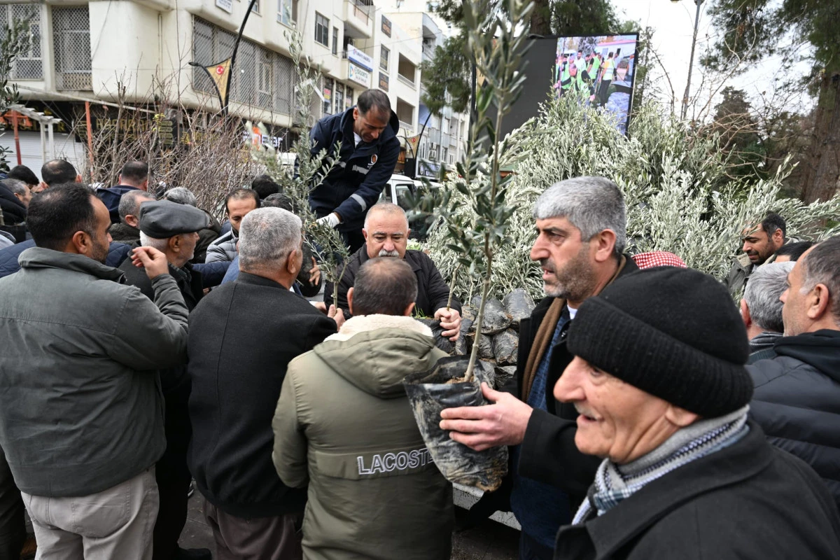 Kızıltepe Belediyesi&rsquo;nden Meyve Ağacı Dağıtımı: 3 Bin 500 Fidan Toprakla Buluşacak