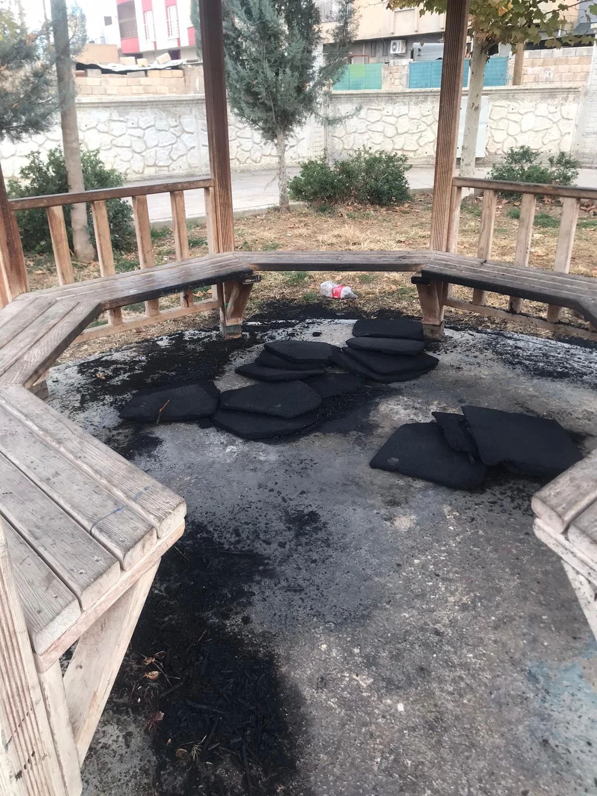 Kızıltepe'de 15 Yıllık Palmiye Ağacı Ateşe Verildi