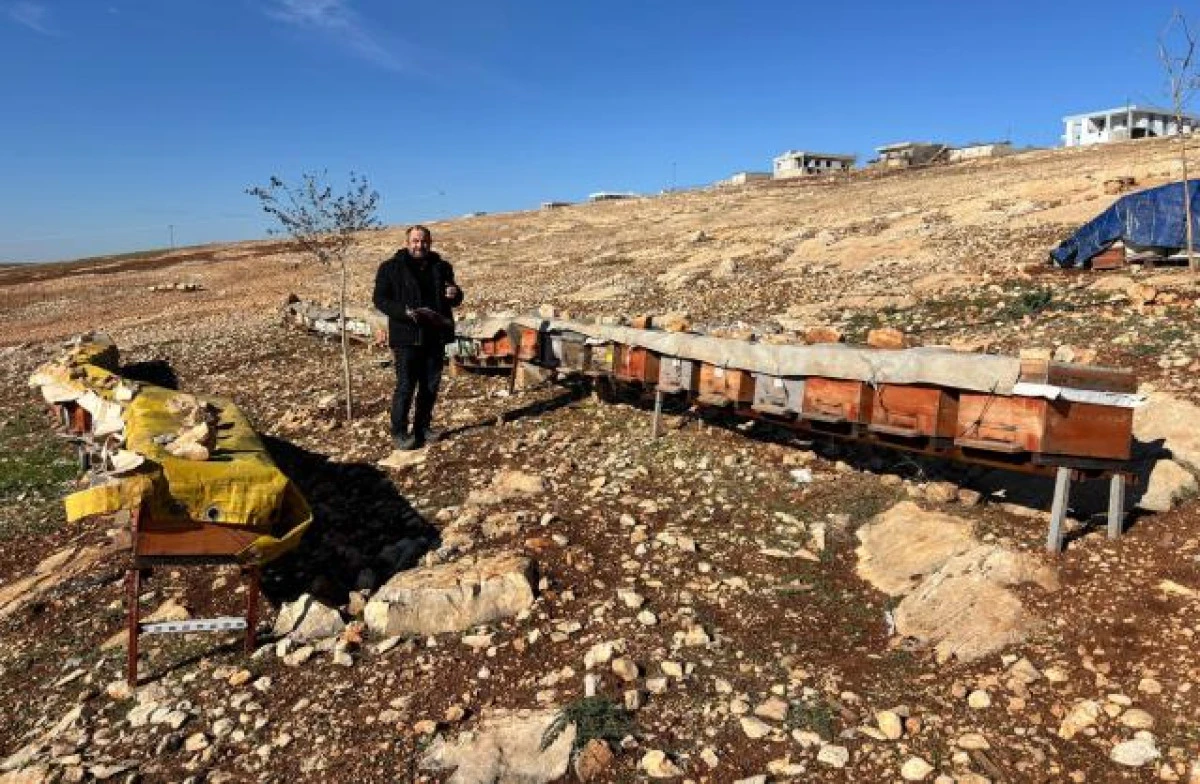 Kızıltepe&rsquo;de Arılı Kovan Desteklemeleri Denetimi