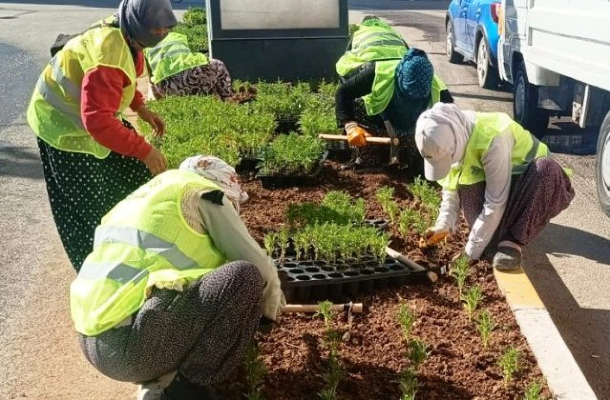 Kızıltepe’de Refüjler Çiçeklendiriliyor