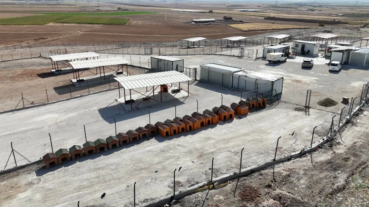 Kızıltepe’ye 42 Dönümlük Doğal Yaşam Alanı ve Hayvan Hastanesi