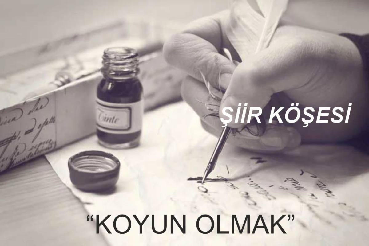 KOYUN OLMAK