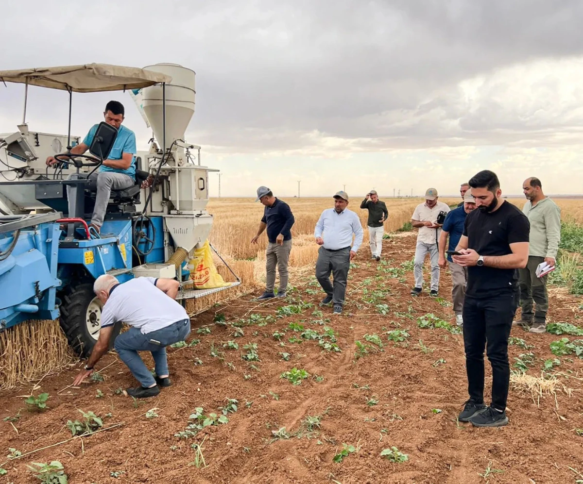 Mardin Artuklu &Uuml;niversitesi'nden  İklime Dayanıklı Tohum Tanıtımı