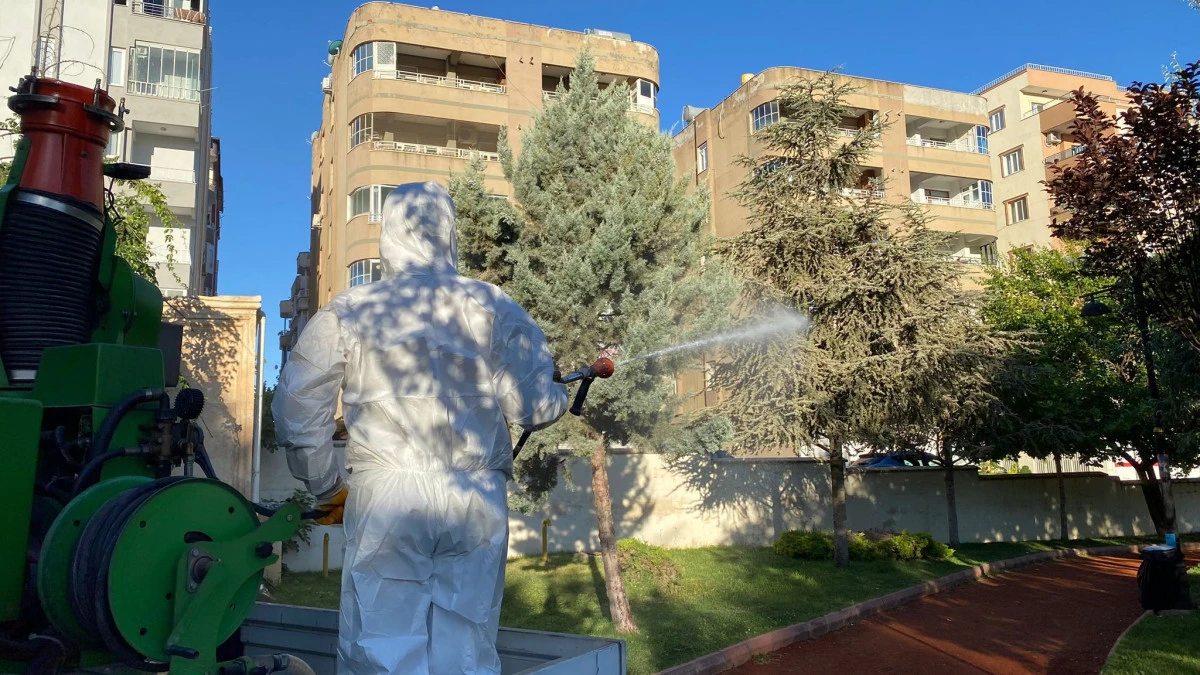 Mardin Büyükşehir Belediyesi Haşere Karşı İlaçlama Çalışmalarına Devam Ediyor