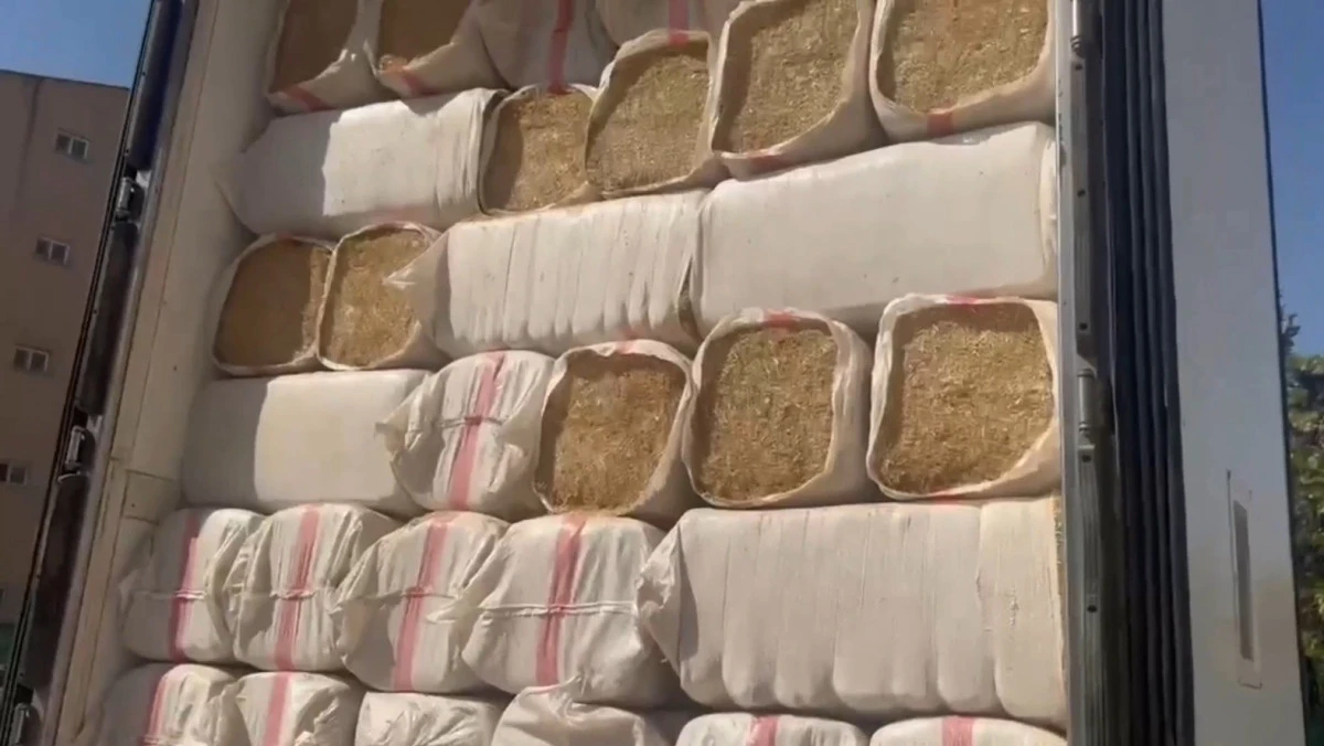 Mardin-Şanlıurfa otoyolunda ka&ccedil;ak sigara yakalandı