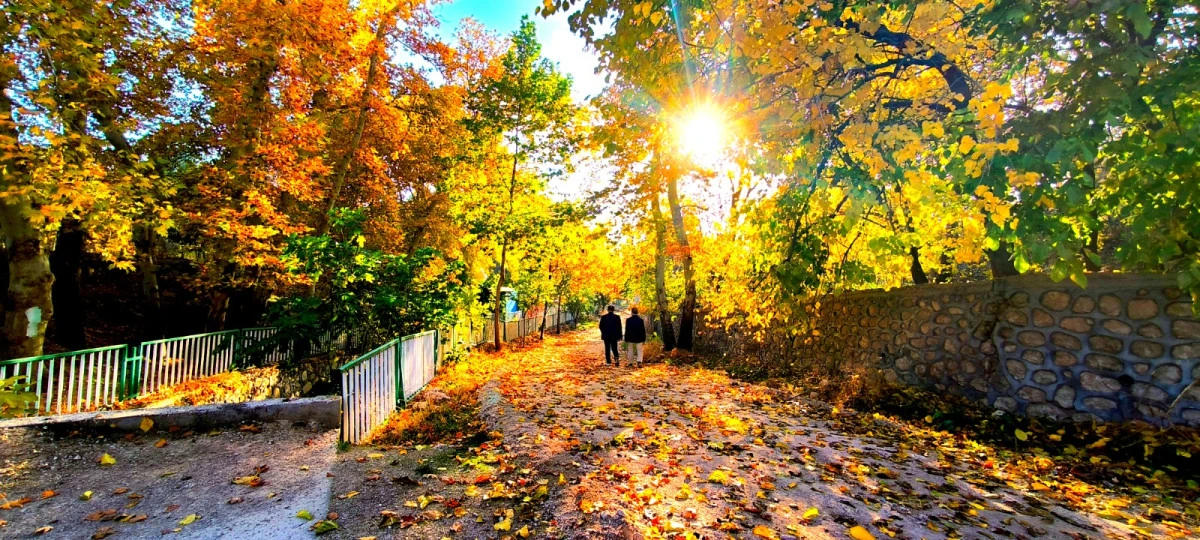 Mardin Yeşilli’de Sonbahar Renk Cümbüşüne Dönüştü