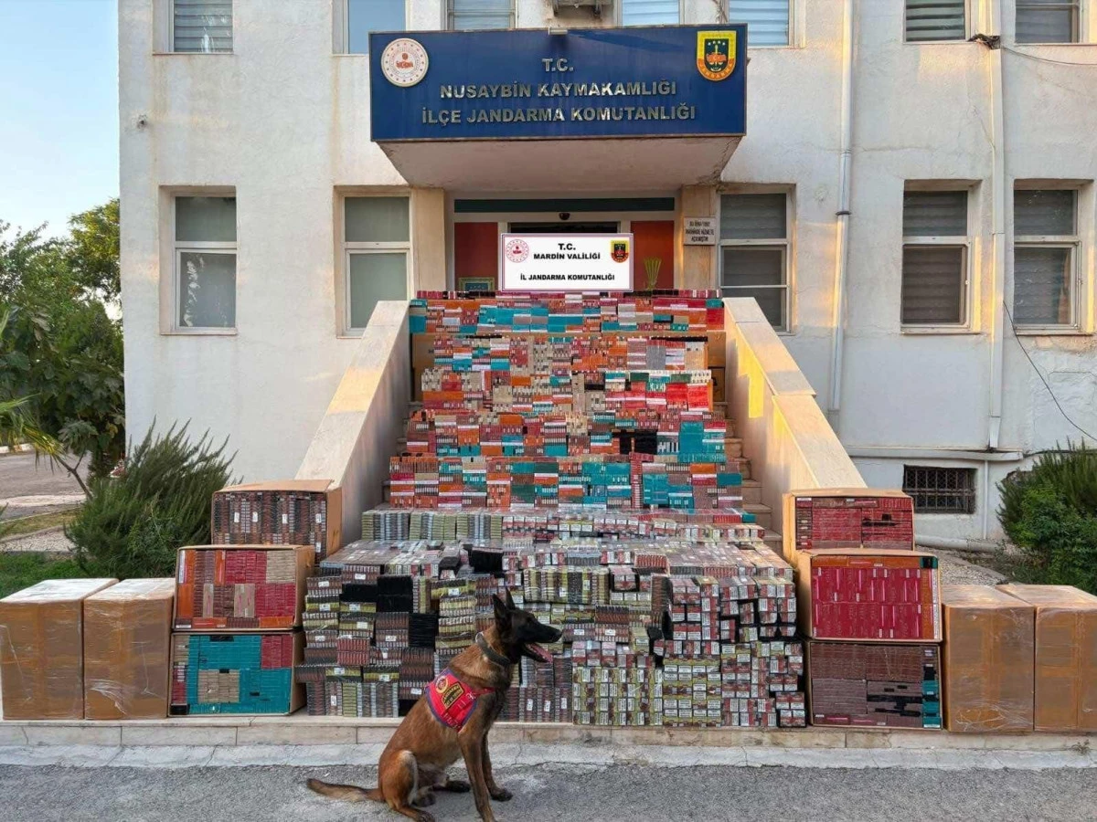Mardin'de 16 Milyon değerinde ka&ccedil;ak puro ve t&uuml;t&uuml;n ele ge&ccedil;irildi