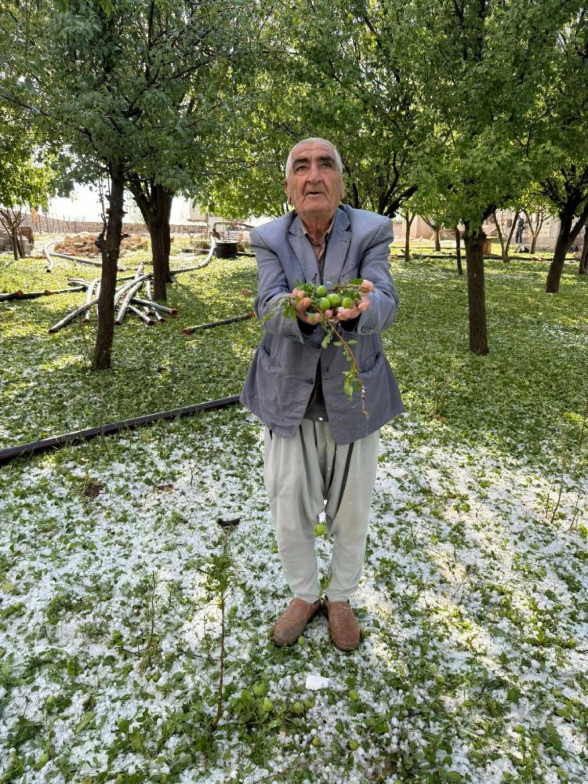 Mardin'de 40 bin dekar arazi dolu yağışından etkilendi