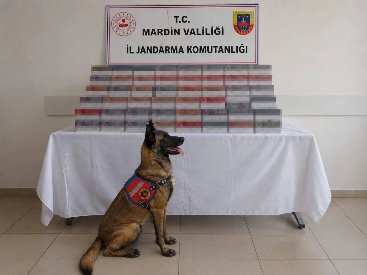 Mardin'de 8 milyon lira değerinde ka&ccedil;ak &uuml;r&uuml;n ele ge&ccedil;irildi