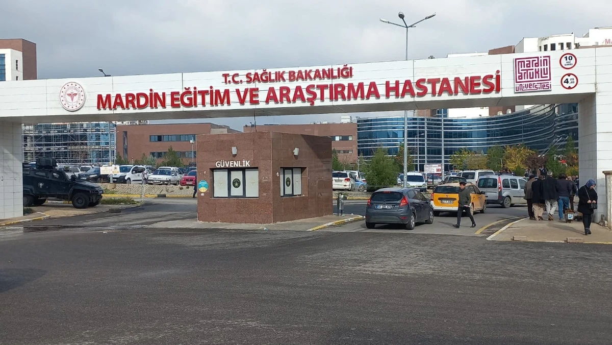 Mardin'de ağaçtan düşen muhtar ağır yaralandı