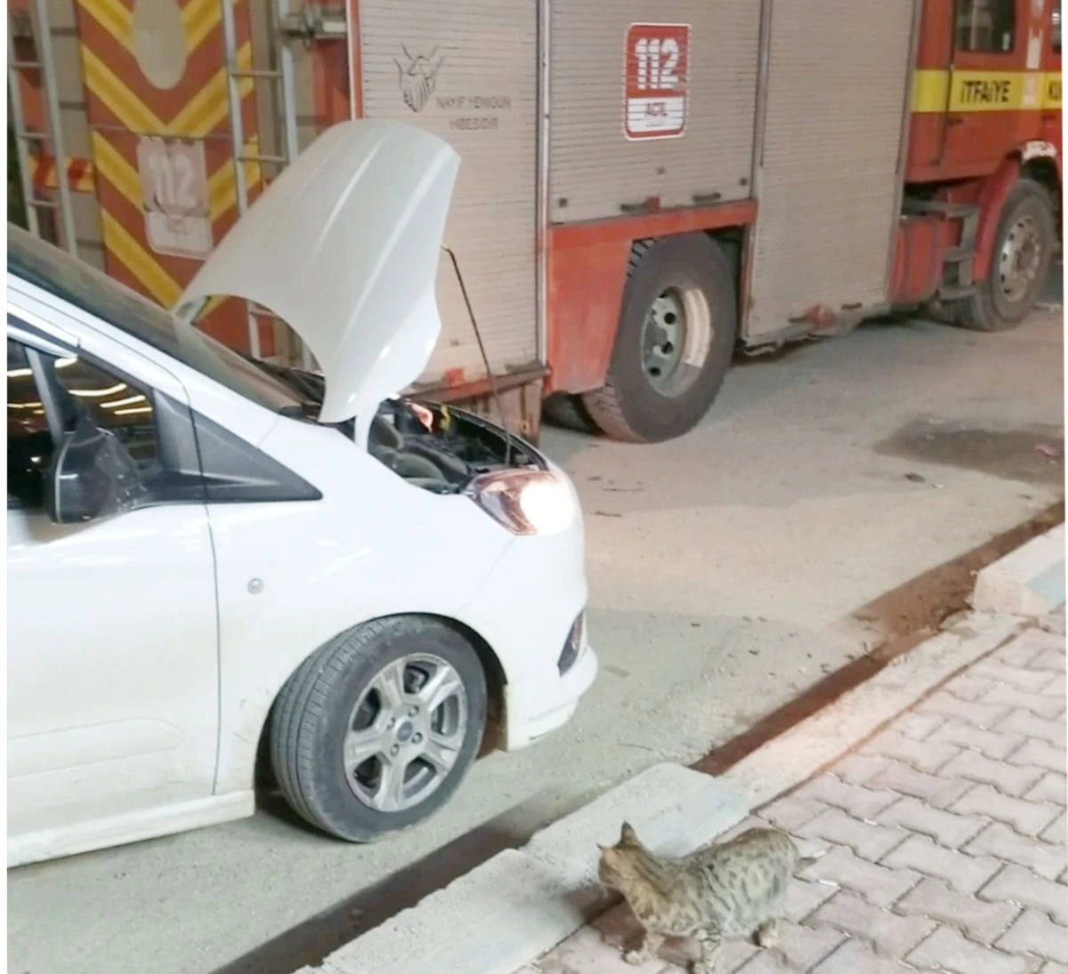 Mardin'de araca Sıkışan 4 yavru kedi kurtarıldı