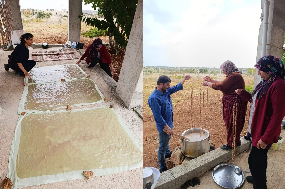 Mardin&rsquo;de Asırlık Bağ Bozumu Heyecanı Başladı