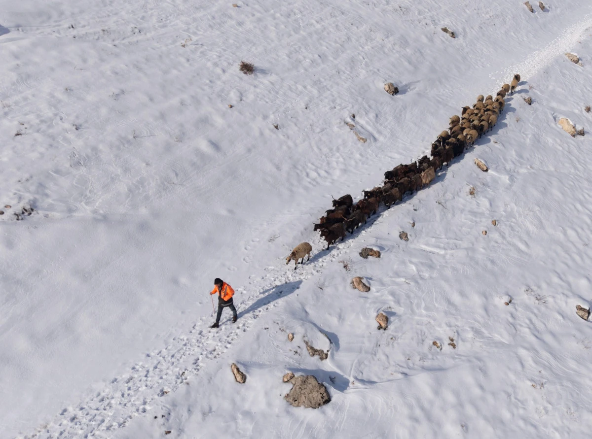 Mardin'de besicilerin zorlu 'kar' mesaisi