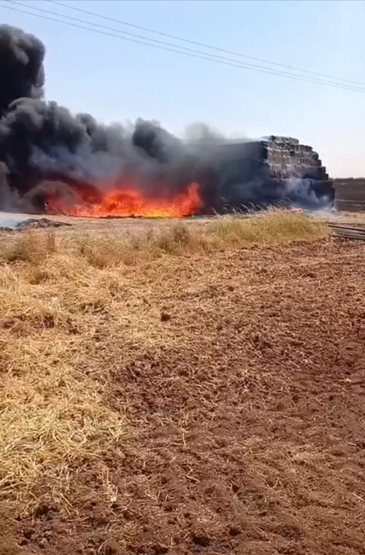 Mardin'de çıkan yangında 25 ton saman ve 300 sulama borusu yandı