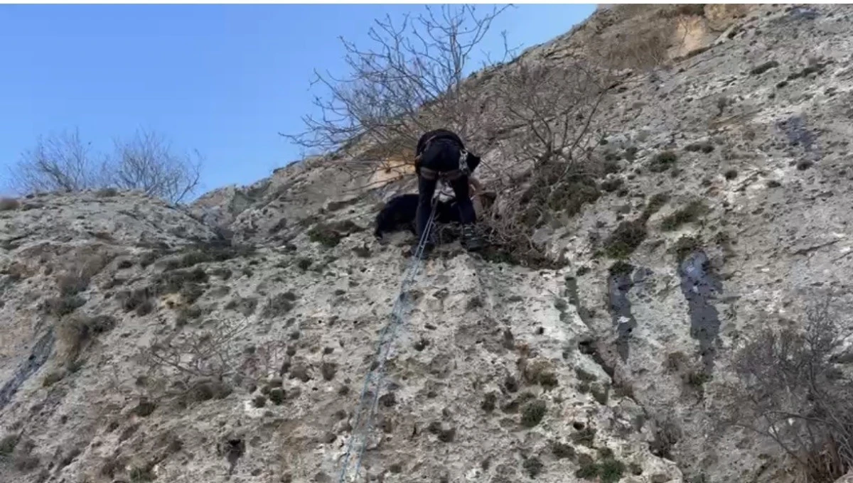 Mardin'de dağda mahsur kalan ke&ccedil;iyi AFAD ekipleri kurtardı