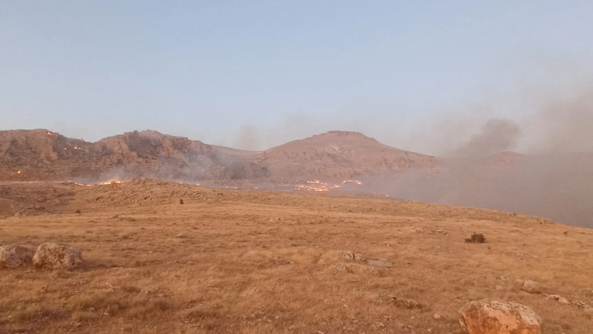 Mardin'de dağlık alanda çıkan yangın söndürüldü