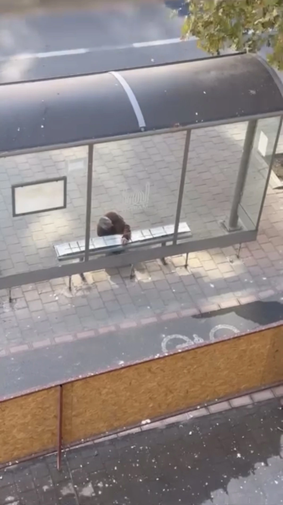 Mardin'de duyarlı vatandaş, yolcular üşümesin diye durağın oturma yerlerini halıyla kapladı