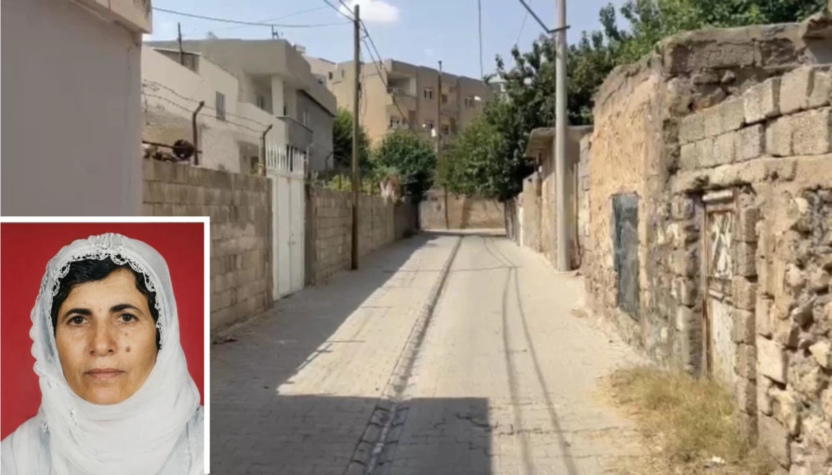 Mardin'de eve giren maskeli kişilerin saldırısına uğrayan yaşlı kadın ağır yaralandı