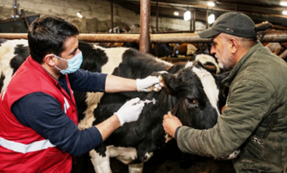 Mardin&rsquo;de Gıda ve Hayvan Sağlığı Denetimleri S&uuml;r&uuml;yor