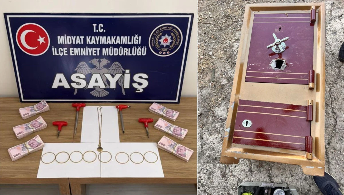 Mardin'de hırsızlık operasyonu: 5 şüpheli yakalandı