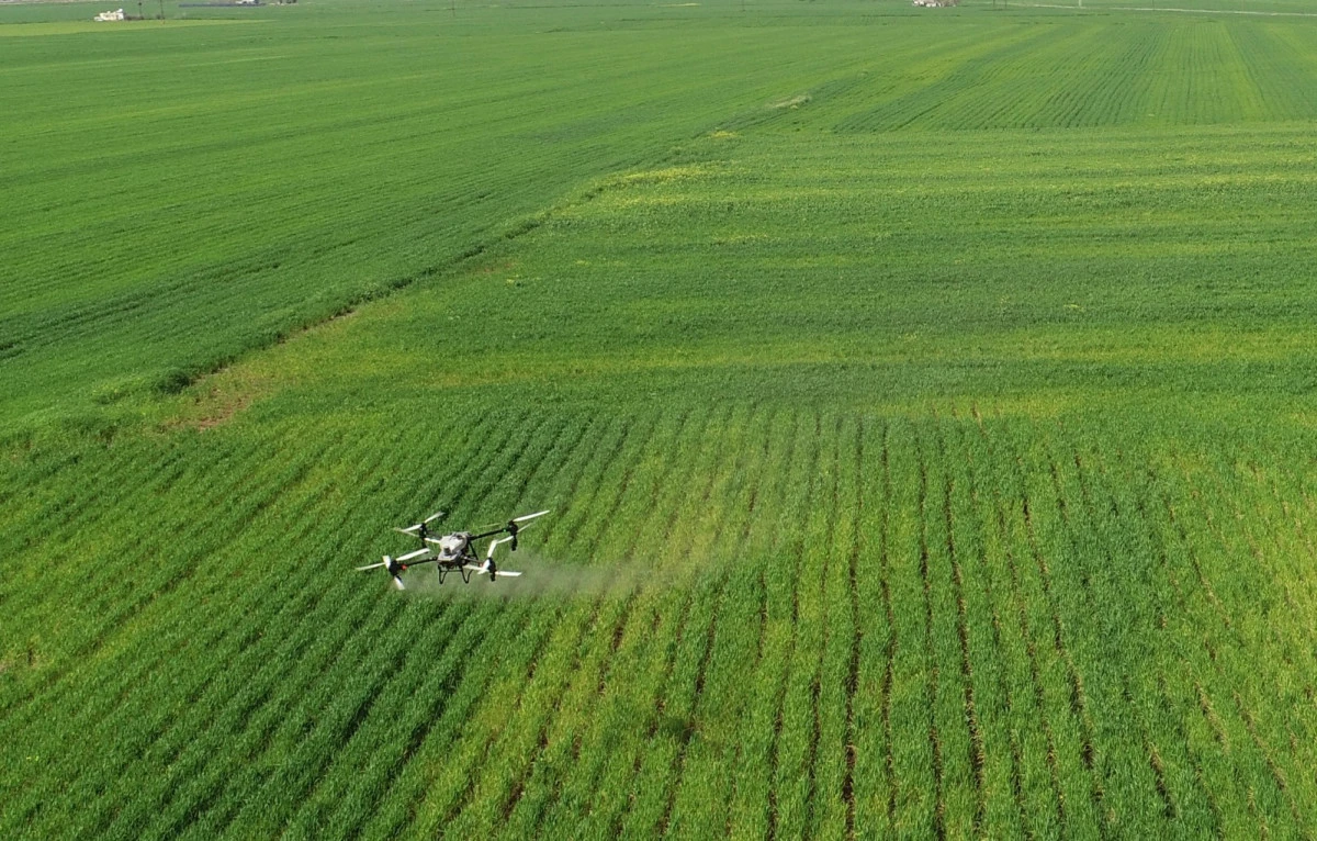Mardin'de hububat &uuml;reticileri  dronla ila&ccedil;lama yapıyor