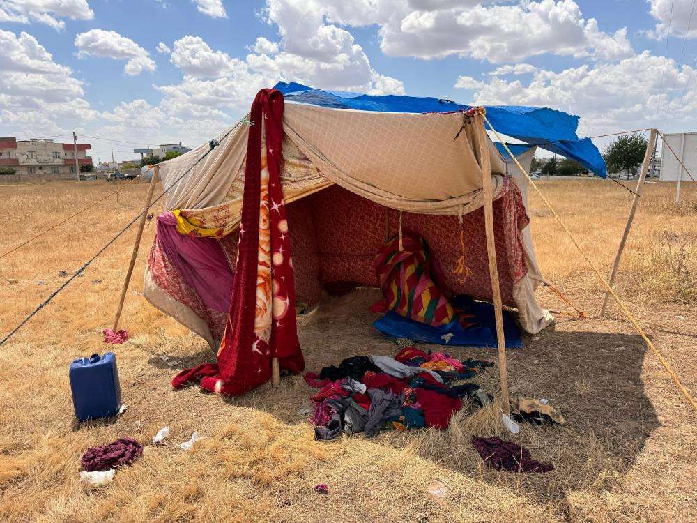 Mardin'de Kurduğu çadırın içinde ölü bulundu