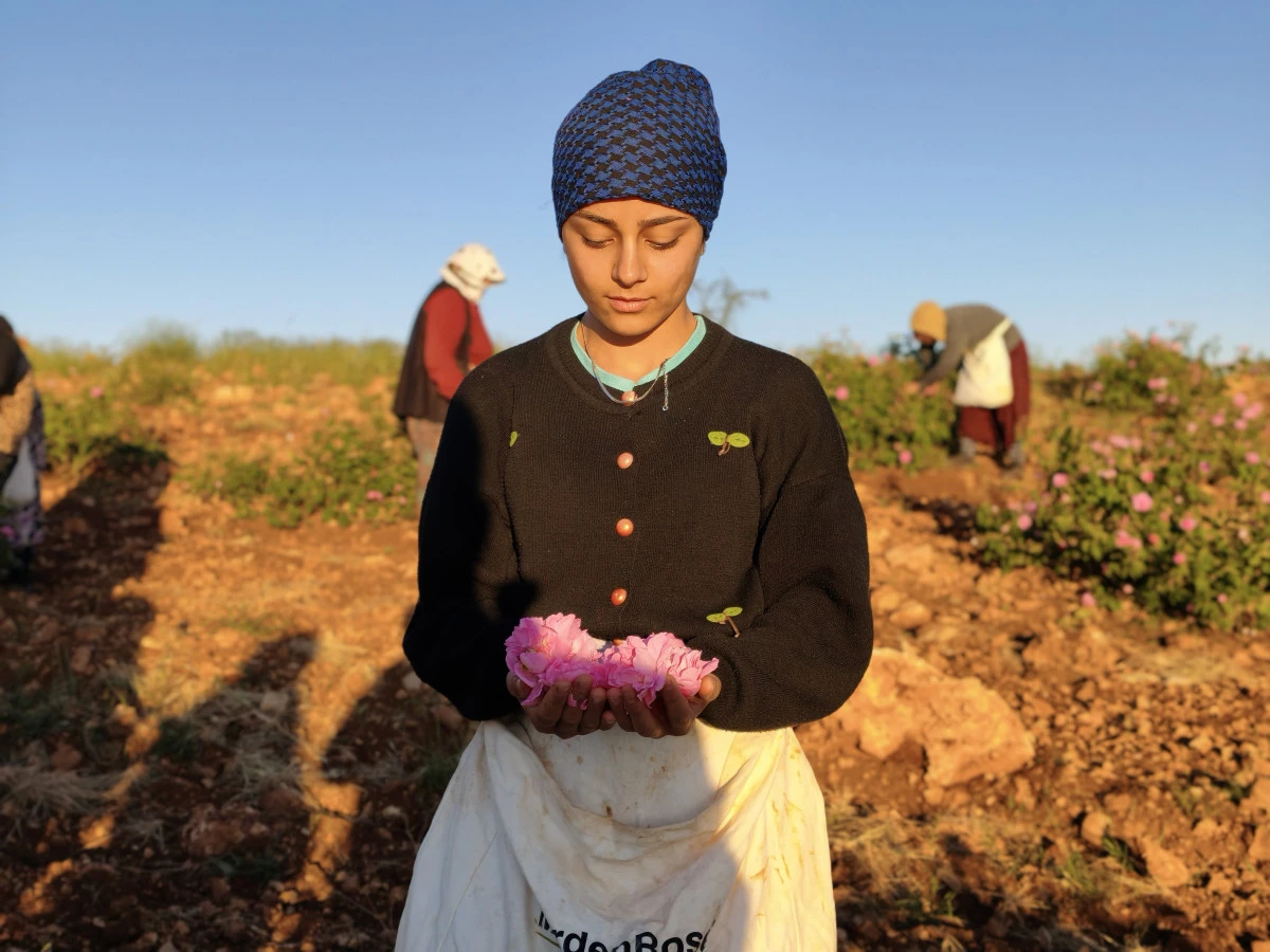 Mardin'de kurduğu g&uuml;l bah&ccedil;esiyle b&ouml;lge kadınlarına istihdam sağladı
