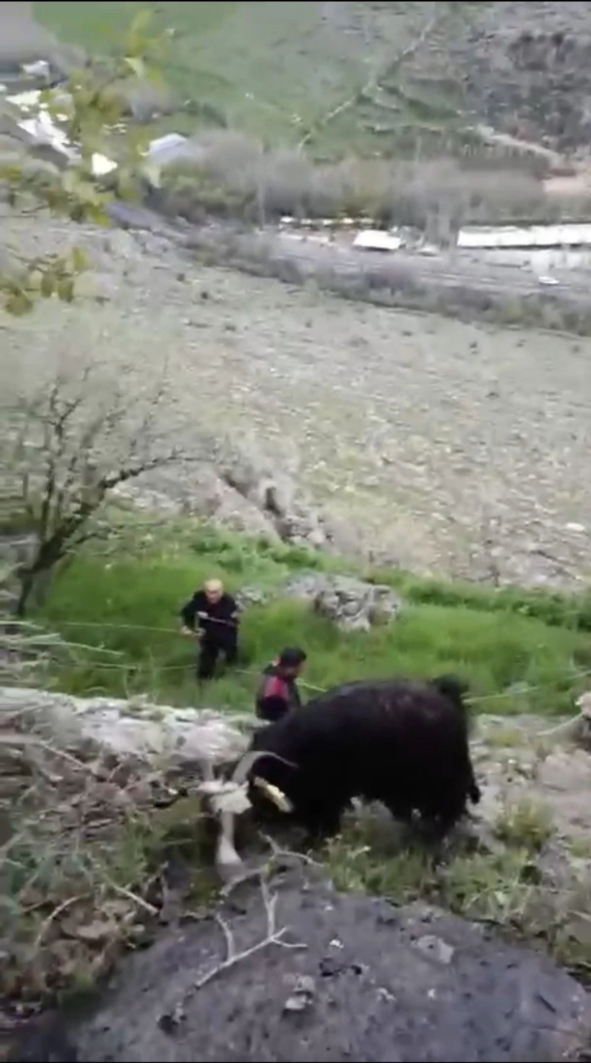 Mardin'de mahsur kalan ke&ccedil;ileri itfaiye kurtardı