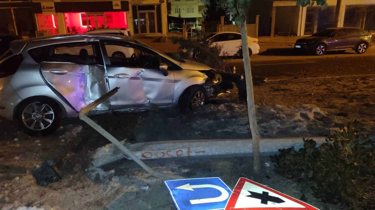 Mardin'de ref&uuml;je &ccedil;arpan otomobilin s&uuml;r&uuml;c&uuml;s&uuml; yaralandı