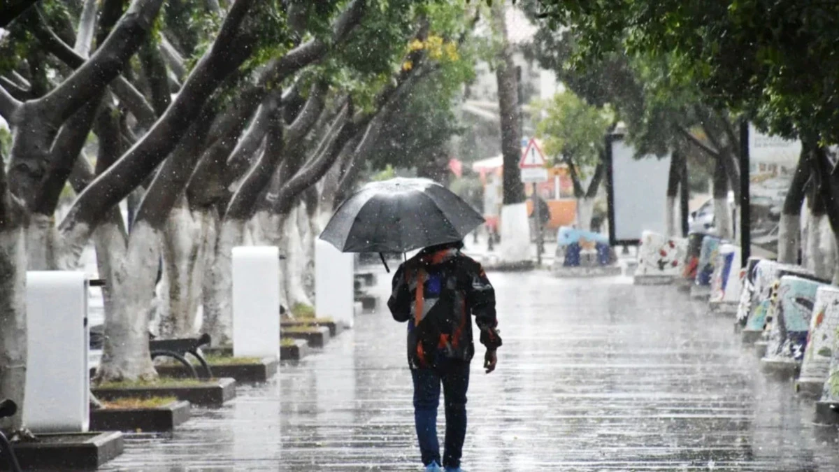 Mardin'de sağanak etkili oldu
