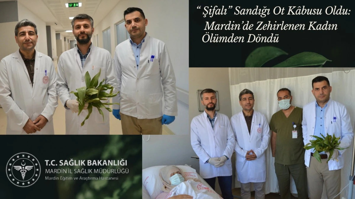 Mardin&rsquo;de &lsquo;şifalı&rsquo; diye yediği ottan Zehirlendi