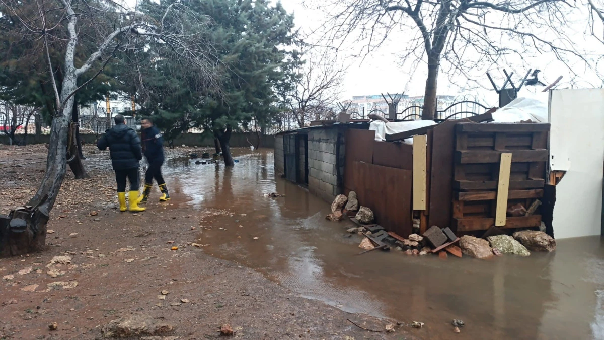 Mardin&rsquo;de su basan k&uuml;meste 5 tavuk telef oldu
