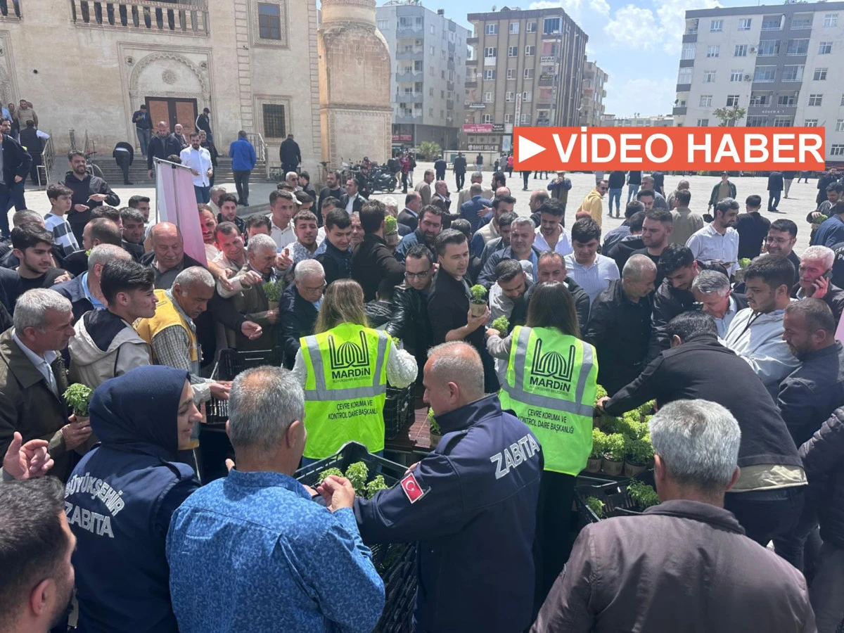 Mardin'de vatandaşlara reyhan çiçeği dağıtıldı
