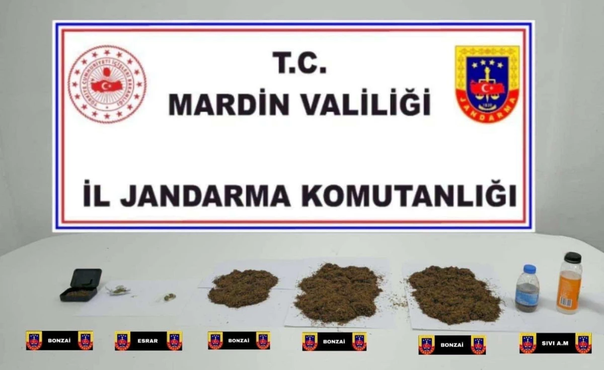 Mardin'de zehir tacirlerine darbe