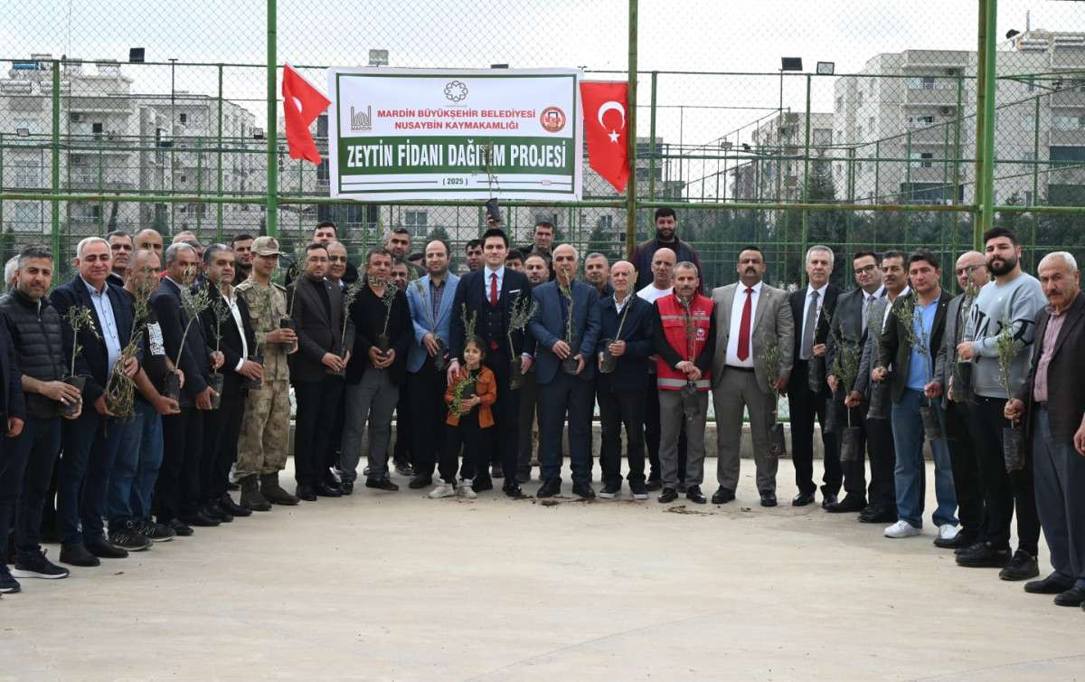 Mardin’de Zeytin Üretimine Destek