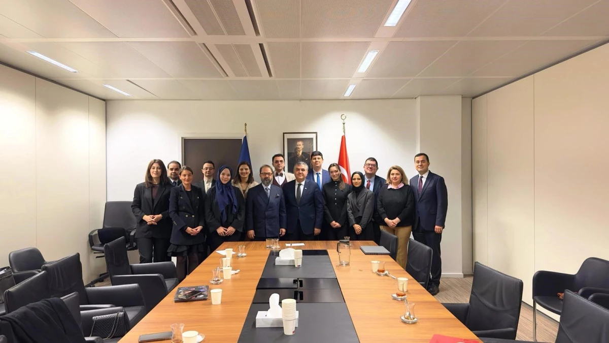 Mardin&rsquo;den Br&uuml;ksel&rsquo;e uzanan başarı hikayesi