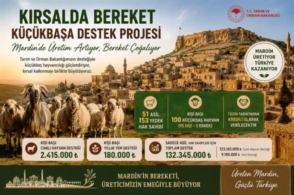 Mardin&rsquo;e 132 Milyon TL&rsquo;lik K&uuml;&ccedil;&uuml;kbaş Hayvancılık Desteği